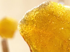 Bee Health - Propolis with Vitamin C & Zinc Tablets