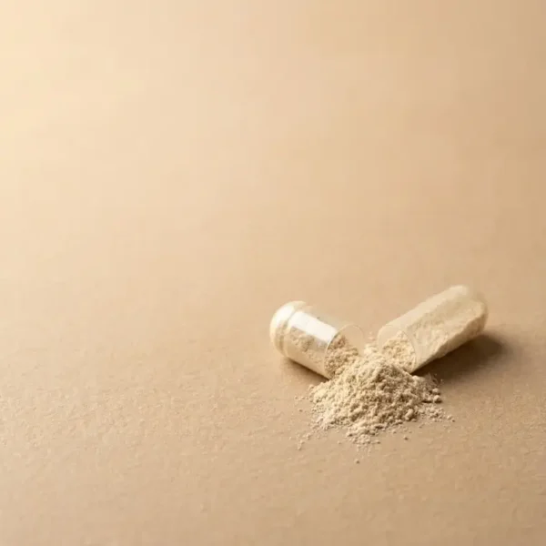 NAC 600mg capsule clean label, no artificial fillers